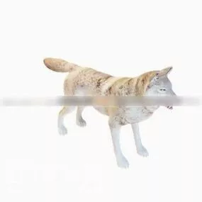 Wild Red Wolf 3d model