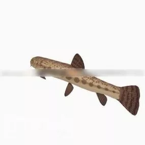 Loach Fish V1 3d model