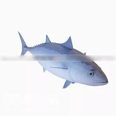 Animal Goldfish Fish Collection 3d model