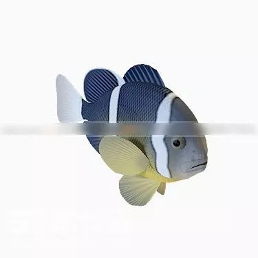 Pike Fish 3d model