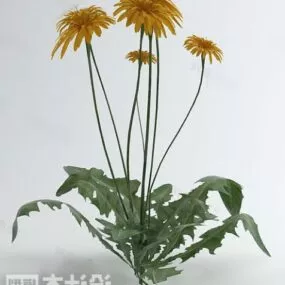 Yellow Flower Plant Bushes 3d model