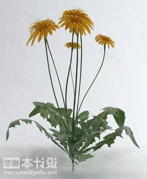 Plant Shrubbery 3d model
