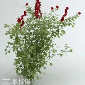 Wild Plant Bushes 3d model