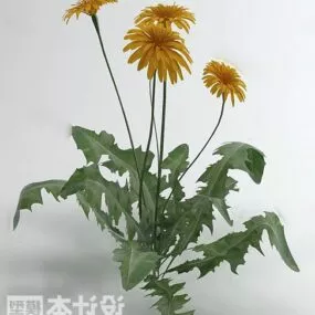 Plant Garden Bush 3d model