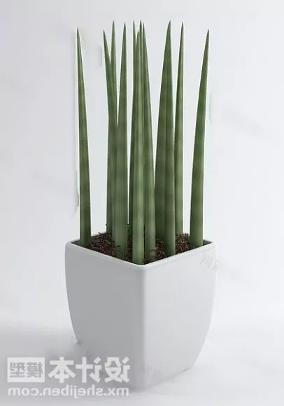Small White Potted Plant 3d model Small White Potted Plant 3d model