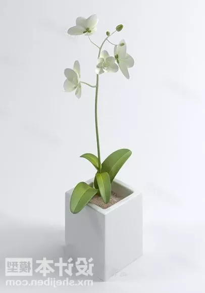 Table Potted Plant 3d model Table Potted Plant 3d model
