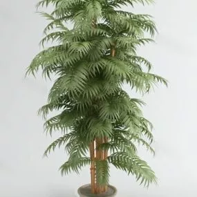 Indoor Office Potted Plant 3d model