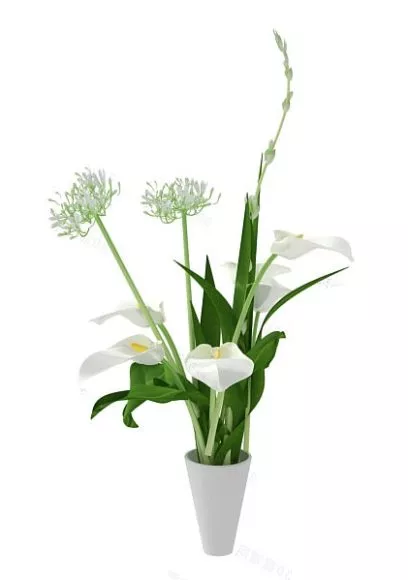 Red Tulip Flower In Glass Vase 3d model