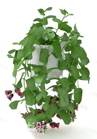 Hang Potted Plant 3d model Hang Potted Plant 3d model