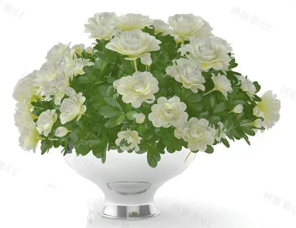 Rose Flower 3d model
