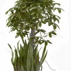 Tree In The Bushes 3d model