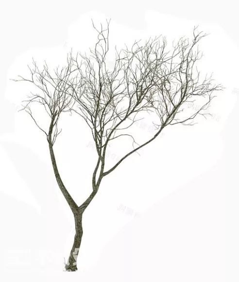 Dry Tree Plant 3d model Dry Tree Plant 3d model