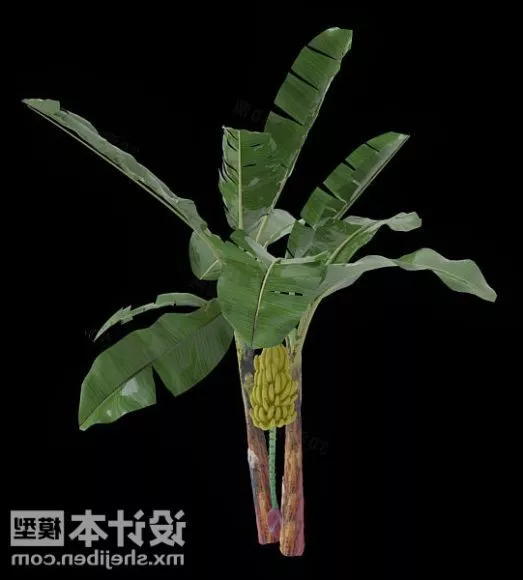 Banana Object 3d model