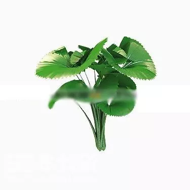 Taro Tree 3d model Taro Tree 3d model