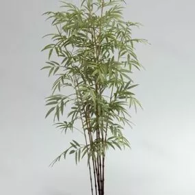 Yellow Bamboo 3d model