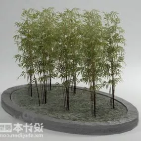 Bamboo Plant Tree 3d model