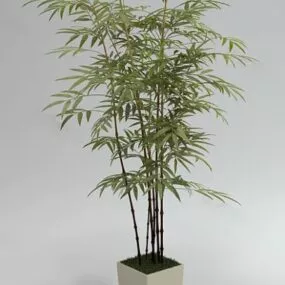 Bamboo Tree 3d model