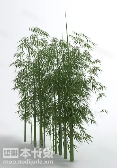 Bushes Bamboo Plant 3d model Bushes Bamboo Plant 3d model