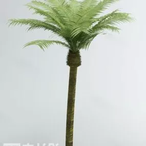 Tropical Palm Plant 3d model