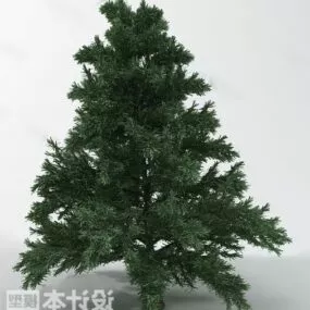 Pine Plant 3d model
