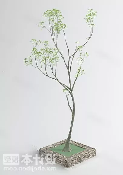 Less Leaf Tree 3d model Less Leaf Tree 3d model