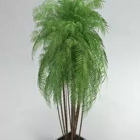Small Branches Tree 3d model