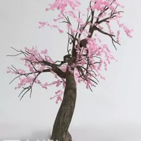 Cerezo Tree 3d model