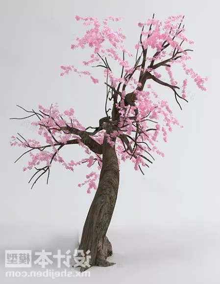 Cerezo Tree 3d model Cerezo Tree 3d model