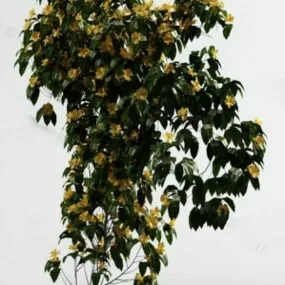 Big Leaf Plant 3d model