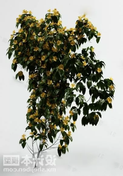 Big Leaf Plant 3d model Big Leaf Plant 3d model