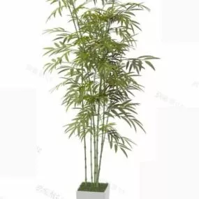 Bamboo Potted Plant 3d model