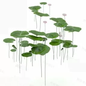 Lotus Tree With Flower 3d model