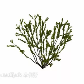 Small Bushes 3d model