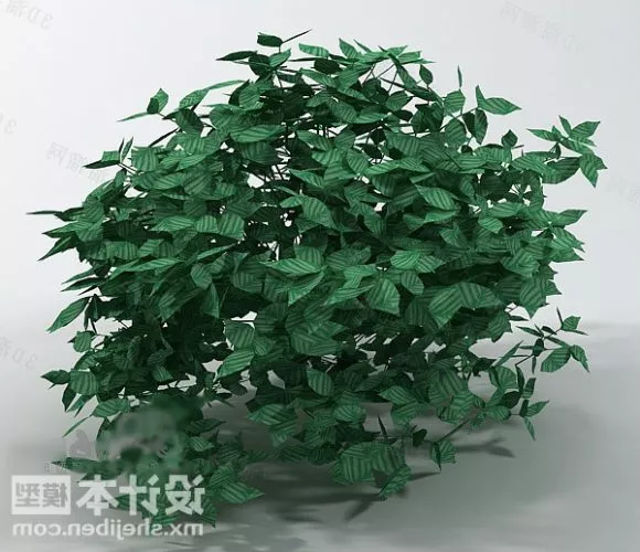 Bushes Plant 3d model Bushes Plant 3d model