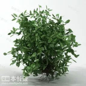 Garden Bushes Plant 3d model