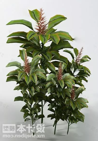 Bush Hedge 3d model