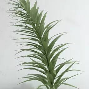 Beauty Leaf Small Tree 3d model