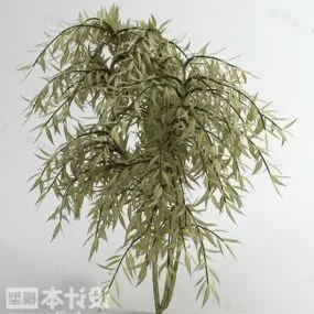 Japanese Small Leaf Tree 3d model