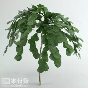 Round Leaf Tree 3d model
