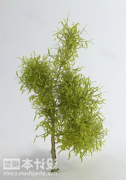 Green Tree With Small Leaf 3d model Green Tree With Small Leaf 3d model
