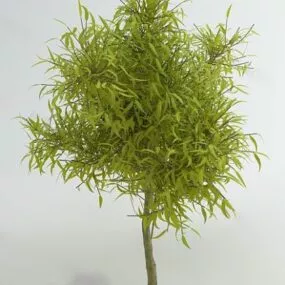 Green Tree Plant 3d model
