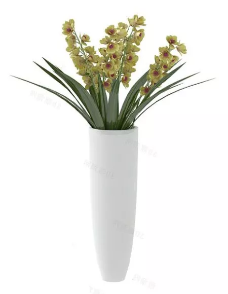 Indoor Potted Lilies Flower 3d model