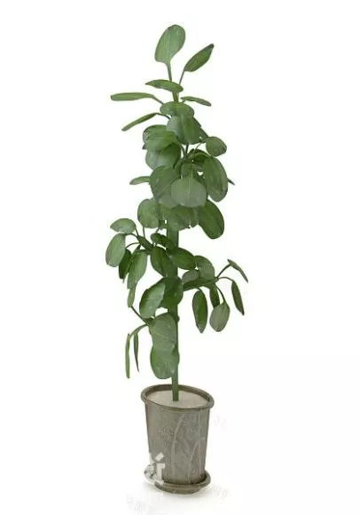 Small Plant In Pot 3d model Small Plant In Pot 3d model