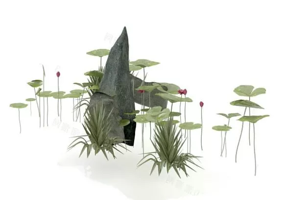 Lotus Pond With Rock 3d model Lotus Pond With Rock 3d model