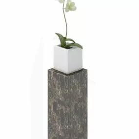 Decoration Small Potted Plant 3d model