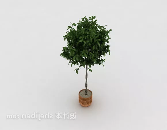 Decorative Leaf Potted Plant 3d model Decorative Leaf Potted Plant 3d model