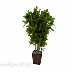 Office Plant Potted 3d model