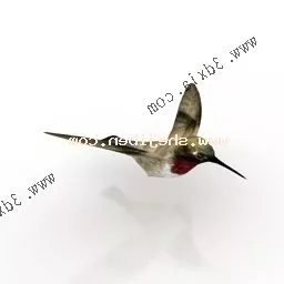 Woodpecker Bird 3d model