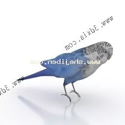 Blue Owl 3d model
