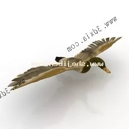 Mallard 3d model Mallard 3d model